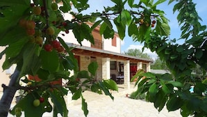 Villa (Villa Rossa mit Pool für 8 Personen) | Overnattingsstedets uteområder