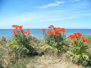 Apartment (Ruegenfewo am Feldrain) | Außenbereich