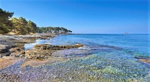 Apartamento (apartment claire ) | Praia