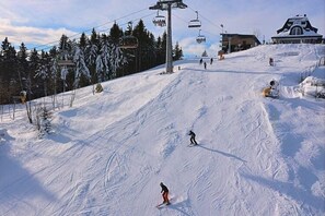 公寓 (Appartement Alexia Winterberg) | 滑雪运动