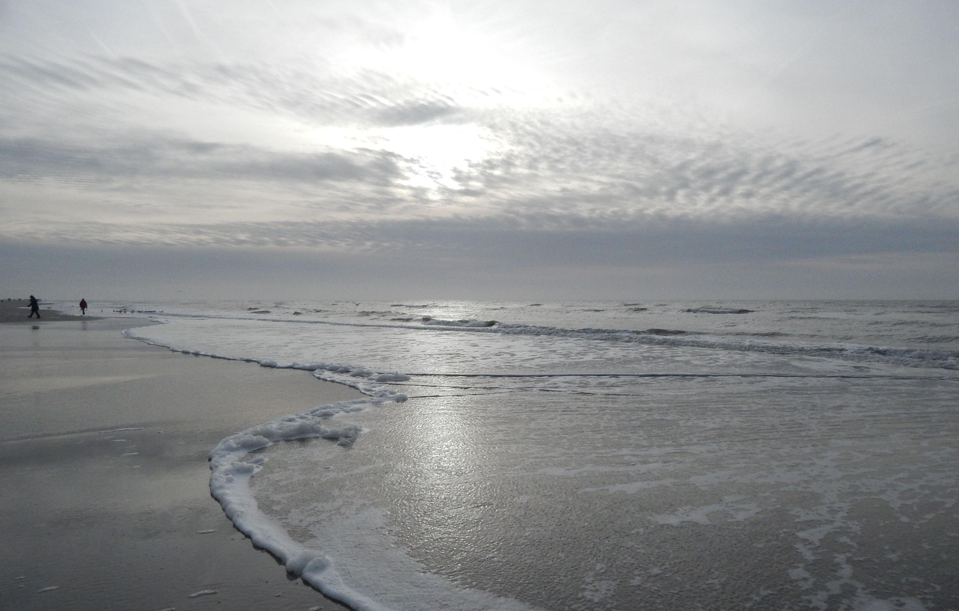 Apartment (Ferien unter dem Reetdach) | Außenbereich