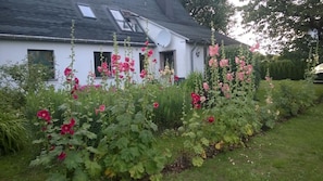 Apartment | Unterkunftsgelände