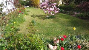 Apartamento | Jardines del alojamiento