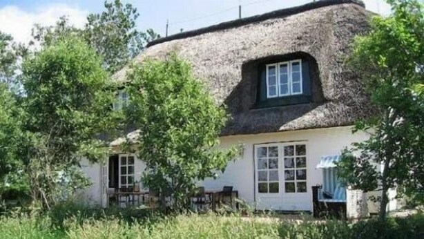 Exterior - Ferienwohnung / Whg. 7 - Deichhof (Dunsum)