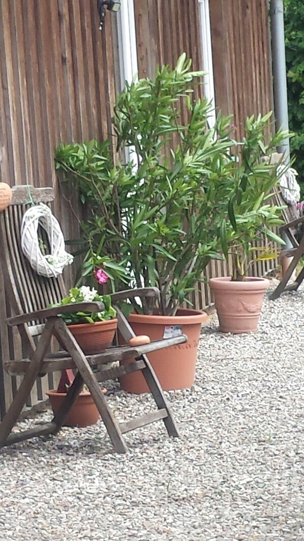 Apartment (Ferienwohnung Möller) | Außenbereich