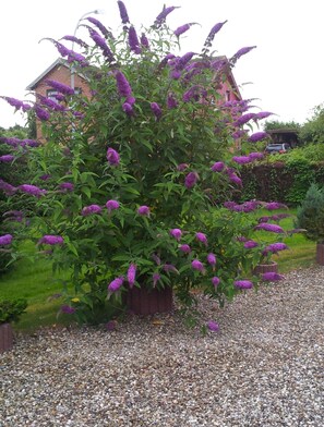 Apartment (Ferienwohnung Möller) | Außenbereich