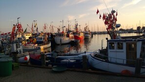 公寓 (Fehmarn Sonne Meer) | 湖泊