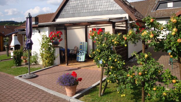 A house with a sloped roof, a brick patio, and a garden with apple trees and flowers. - Ferienhaus Pahl in Wolfshagen (Langelsheim)