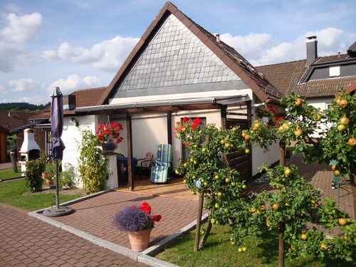 Ferienhaus Pahl in Wolfshagen