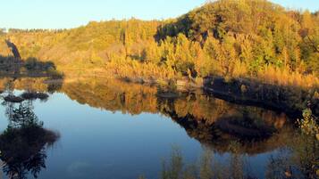 House | Property grounds