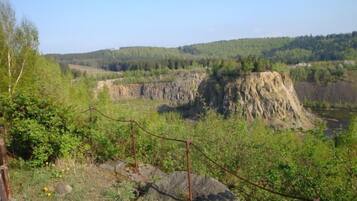 House | Property grounds