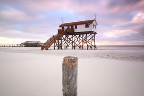 Apartment | Außenbereich