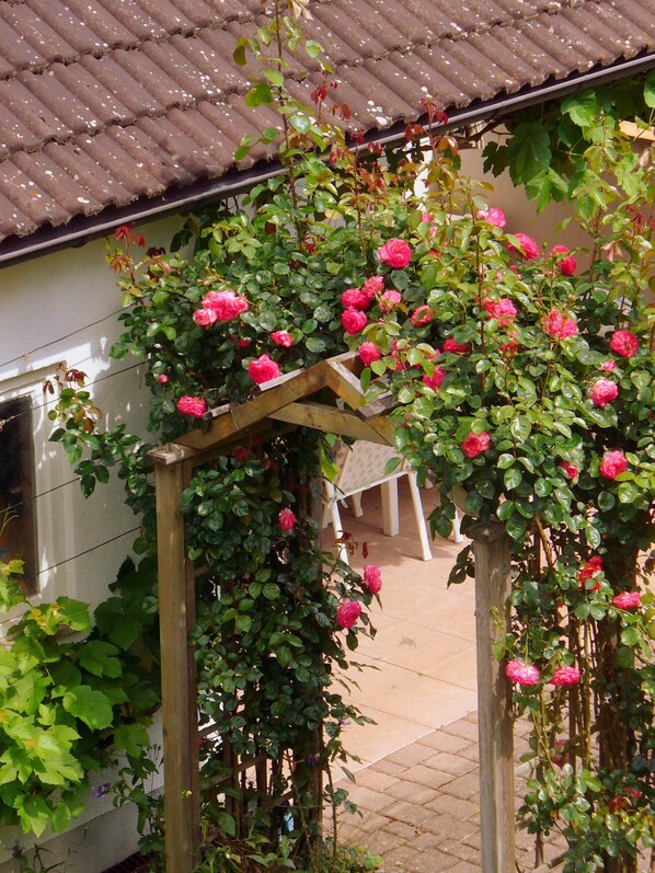 Huoneisto (Ferienwohnung Billmann) | Ulkopuoli