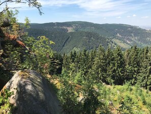 المنطقة المحيطة بالمنشأة