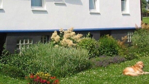 Unclassified image, 1 of 1, button - Winterberg Ferienhaus Karles (Winterberg)