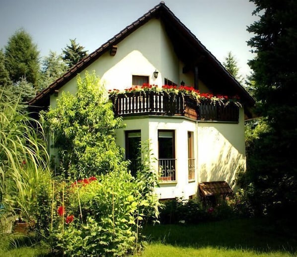 Apartment (Ferienwohnung "Ginkgo" Dresden) | Außenbereich