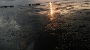 บังกะโล, 2 ห้องนอน, ลานระเบียง, วิวสวน | ชายหาด