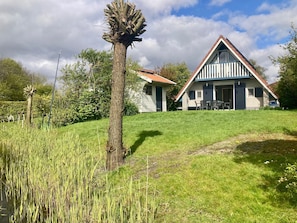 A house with a sloped roof, a grassy yard, and a tall tree.