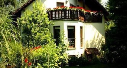 Ferienwohnung "ginkgo II" Dresden