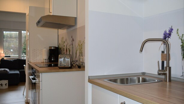 Coffee/tea maker, fridge, stovetop, dishwasher - Fewo Ausspann (Willingen)