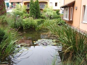 Apartment (Kühlungsborn: 2-Zi-Ferienwohnung LAG) | Unterkunftsgelände