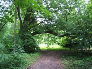 Apartment | Außenbereich