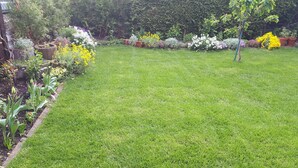 Ein gepflegter Garten mit verschiedenen blühenden Pflanzen und einem ordentlich gestutzten Rasen.