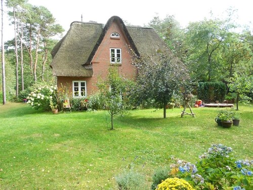 Reetdachhaus Skagen