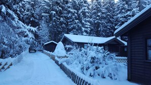 Exterior - Waldsee Ferienhaus mit Kamin,w-lan (Clausthal-Zellerfeld)