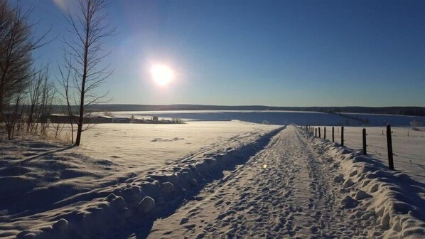 บ้านพัก | ชายหาด