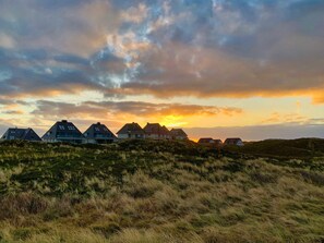 Apartment (Strandkrone) | Außenbereich