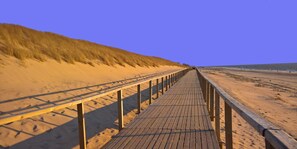 Apartment (Friesenhaus Maren, Sterntaucher) | Exterior - Friesenhaus Maren, Sterntaucher (Sylt)