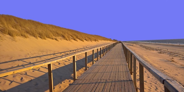 Apartment (Friesenhaus Maren, Sterntaucher) | Außenbereich