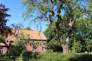 Apartment (Lüttje Auszeit) | Außenbereich