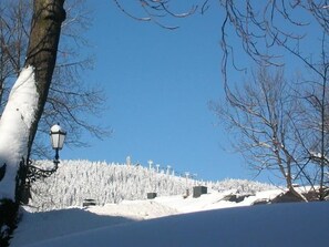 رياضات التزحلق على الجليد والماء