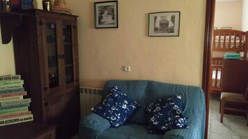 Una televisión, una chimenea, un reproductor de DVD, libros