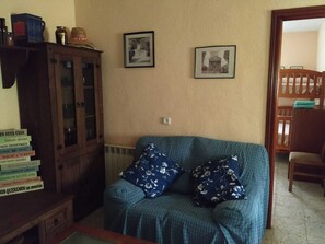 TV, fireplace, DVD player, books