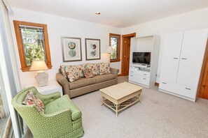 Smart TV, fireplace, DVD player, books