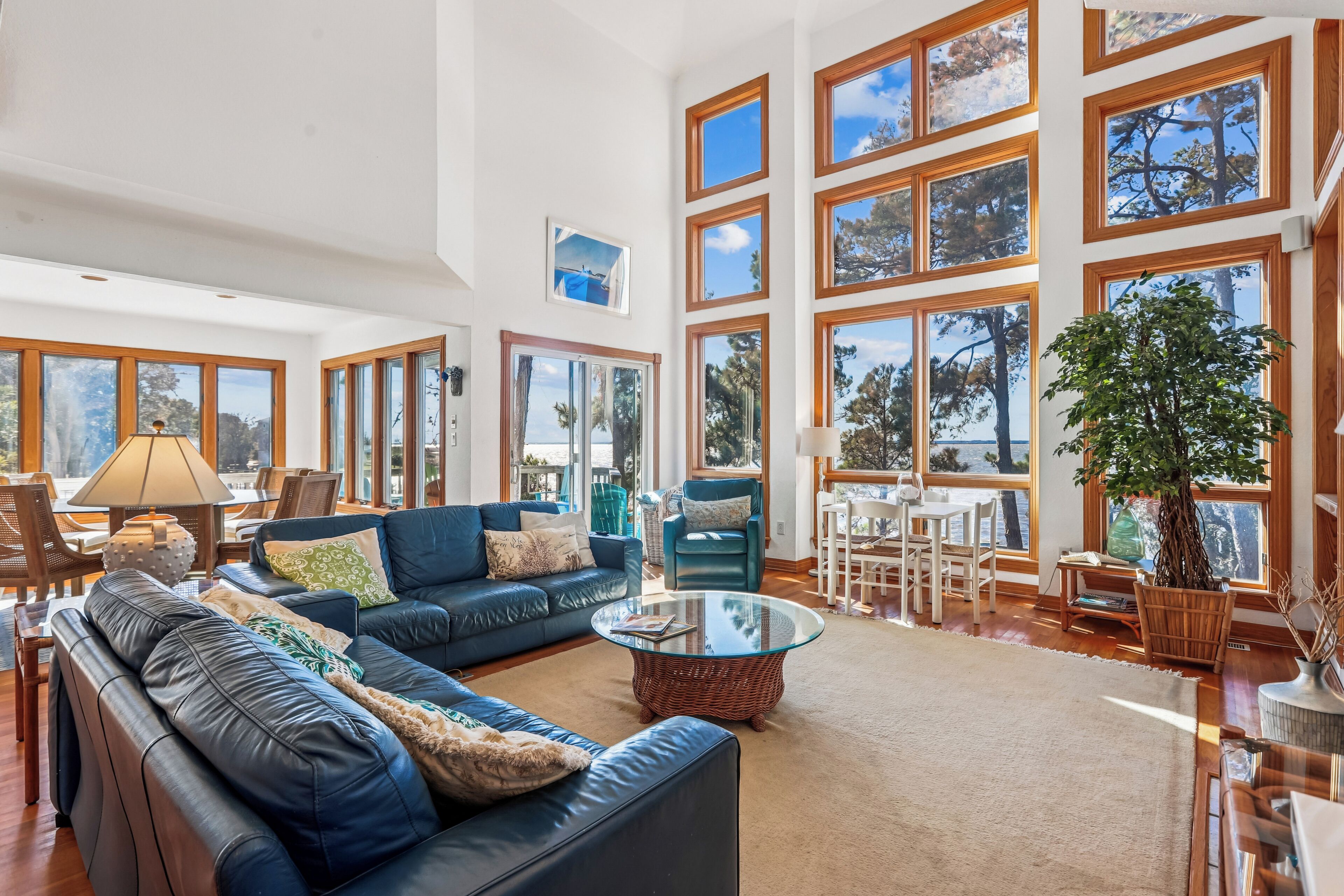 Smart TV, fireplace, DVD player, books