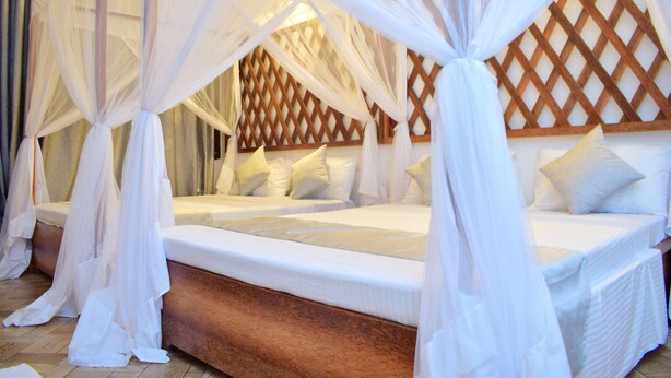 Una habitación con una cama bajo un dosel, cabecera de madera y pared con celosía.