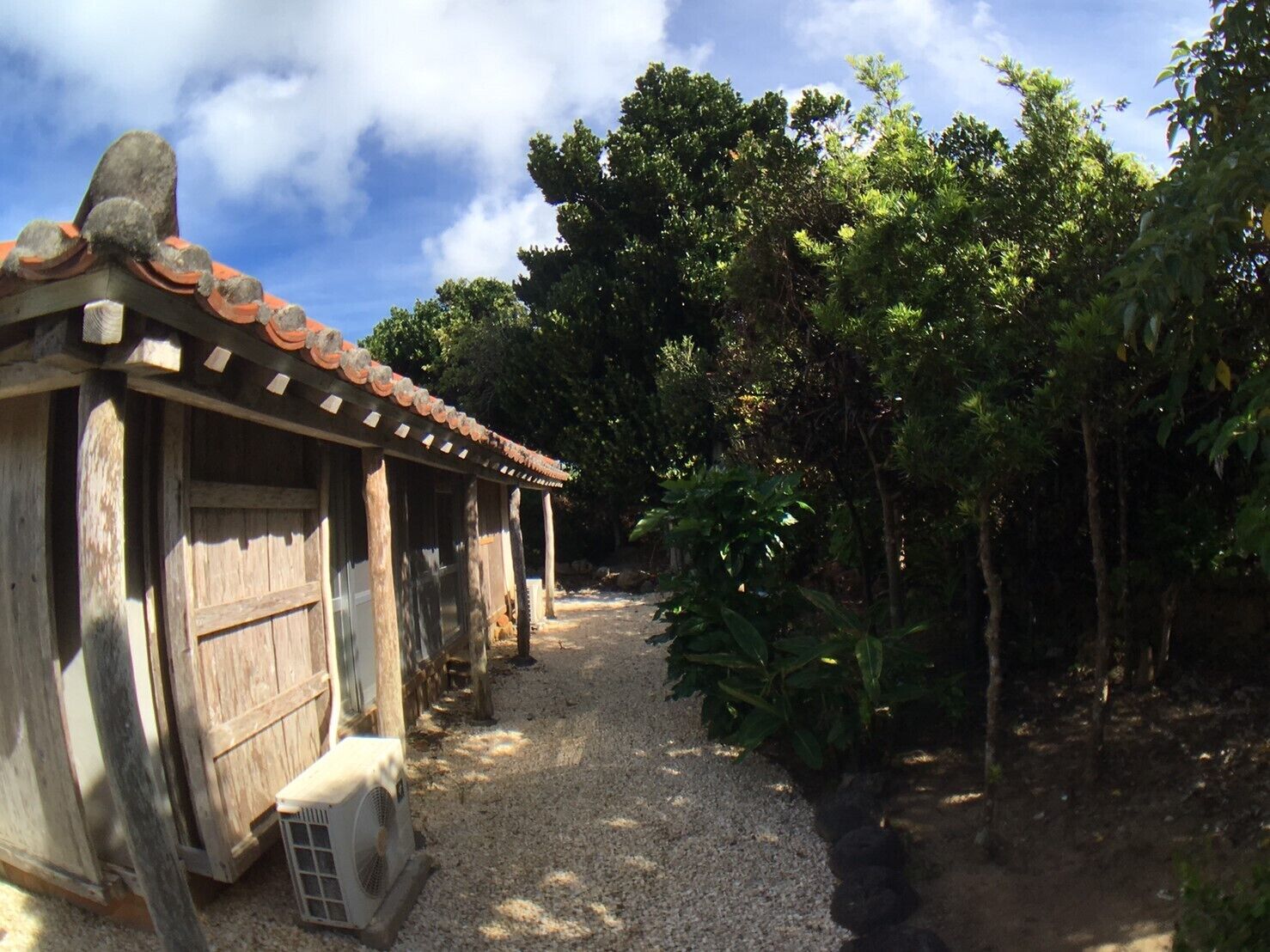 A rustic wooden building with a tiled roof, surrounded by dense greenery and a gravel path.
