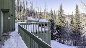 Une terrasse enneigée, dotée d’une rambarde verte, qui offre une vue sur une zone boisée parsemée de grands arbres à feuilles persistantes.