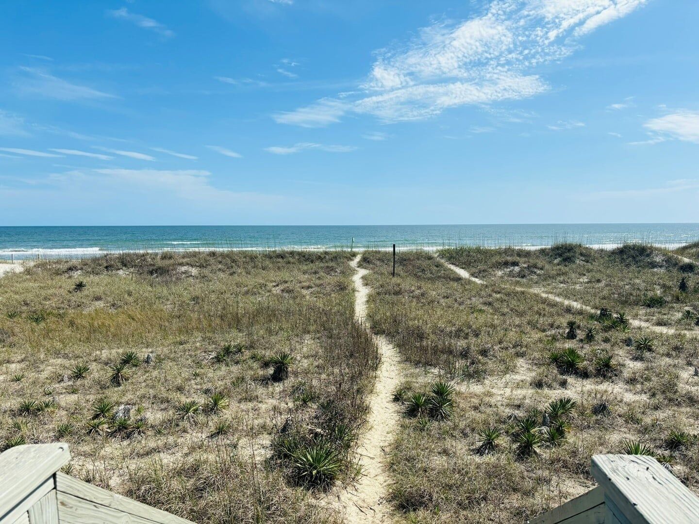 A beach path leading to the ocean with sparse vegetation and a clear sky.