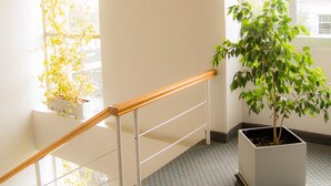 Un escalier avec une rampe en bois, une plante en pot et un luminaire suspendu.