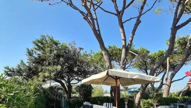 An outdoor seating area with stone flooring, surrounded by trees and greenery. - Apartment in Villa Valentini, seafront, Gulf of Gaeta, parking included (Marina di Minturno)
