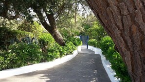 A paved pathway leading to a gated entrance surrounded by lush greenery and trees. - Apartment in Villa Valentini, seafront, Gulf of Gaeta, parking included (Marina di Minturno)