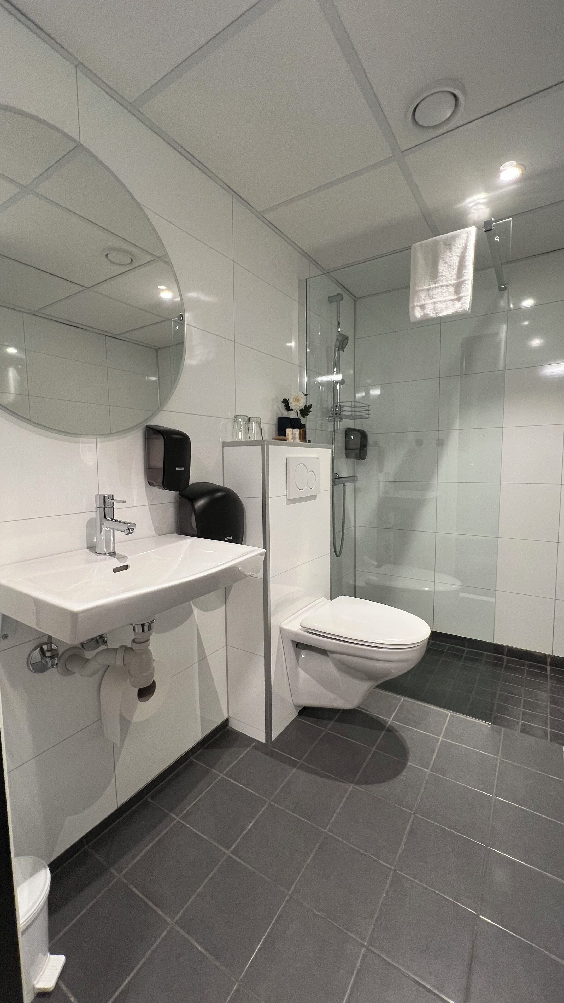 A modern bathroom with a white sink, a toilet, and a glass-enclosed shower.
