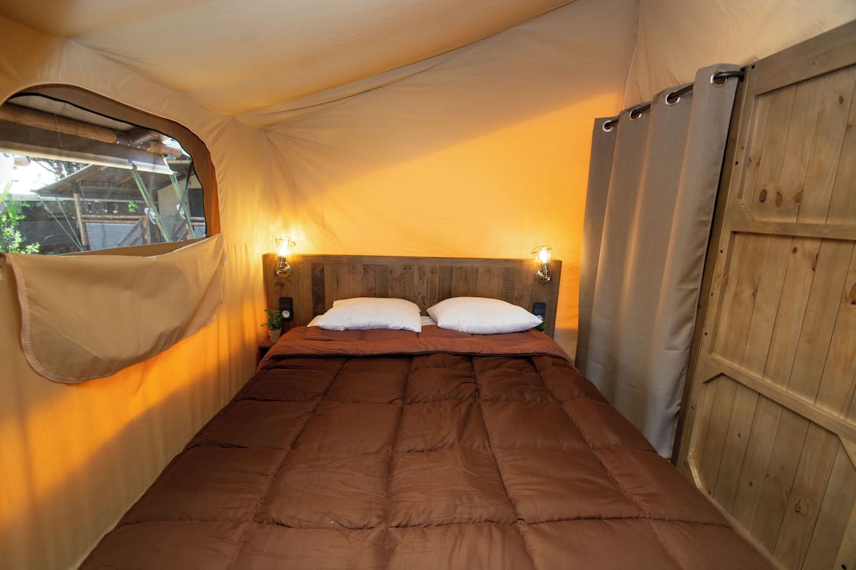 Un lit simple avec une couverture marron, deux lampes de chevet et une fenêtre avec un rideau.
