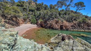 Una spiaggia rocciosa con acque limpide, circondata da vegetazione rigogliosa e un piccolo edificio sullo sfondo.