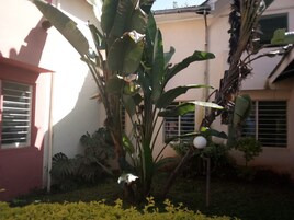 Detalle del exterior